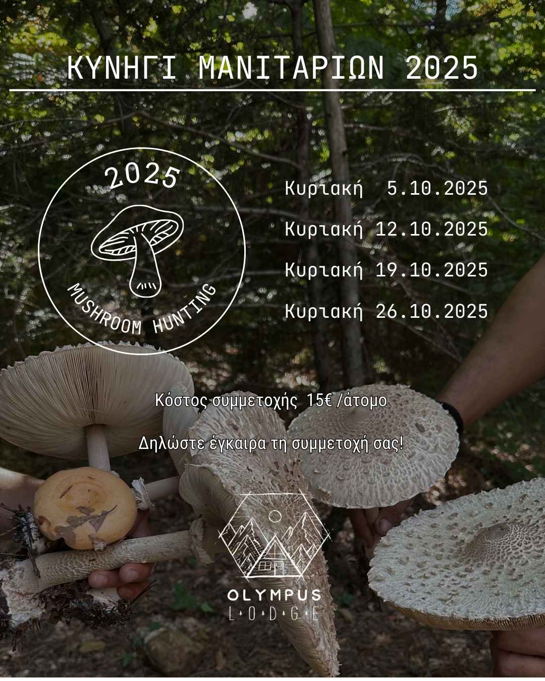 Read more about the article 🍄🍄🍄 Κυνήγι Μανιταριών 2025 🍄🍄🍄